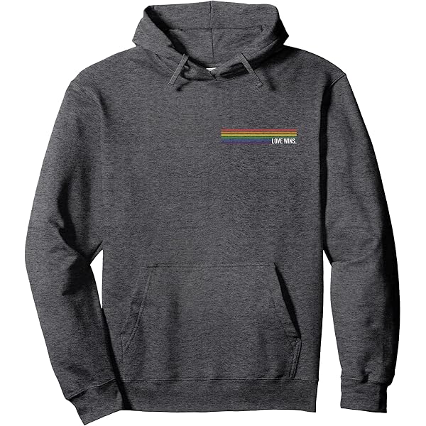 Amazon.com: Promise Not Pride Gay LGBT Flag Zip Hoodie : Clothing